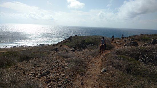 Rancho Notorious Aruba